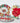 Vintage Fringe Studio Porcelain Holiday Plaid Christmas Poinsettia Plate 4pc Set