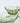 Rare Vintage 1950s Anchor Hocking Avocado Green Chip & Dip Set w Gold Bracket